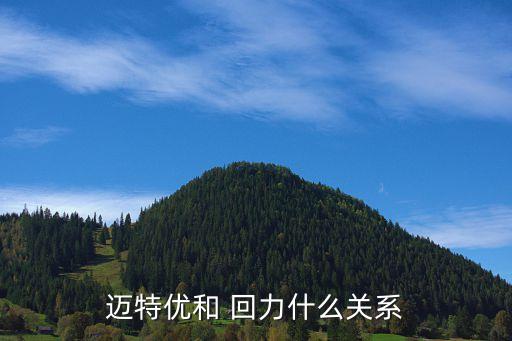 邁特優(yōu)和 回力什么關系