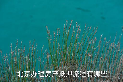 北京二貸網但保,北京的網貸公司都有哪些