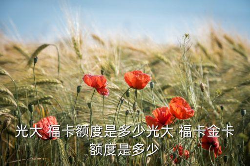 光大 福卡額度是多少光大 ?？ń鹂~度是多少