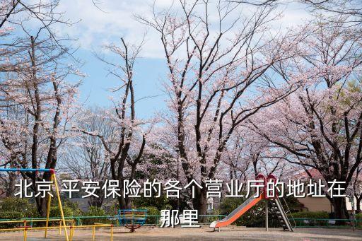 北京 平安保險(xiǎn)的各個(gè)營業(yè)廳的地址在那里