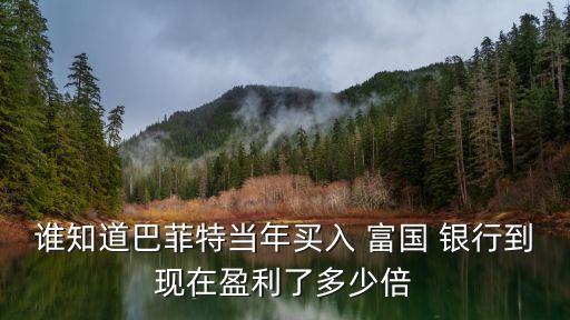 誰(shuí)知道巴菲特當(dāng)年買入 富國(guó) 銀行到現(xiàn)在盈利了多少倍