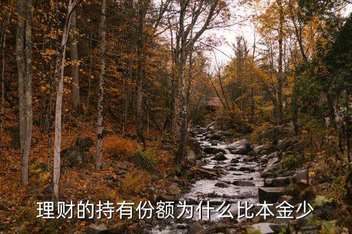理財?shù)某钟蟹蓊~為什么比本金少