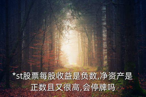 *st股票每股收益是負(fù)數(shù),凈資產(chǎn)是正數(shù)且又很高,會停牌嗎