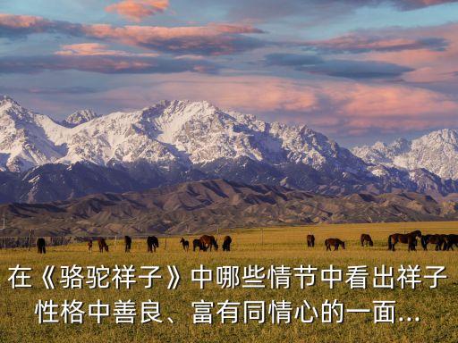 在《駱駝祥子》中哪些情節(jié)中看出祥子性格中善良、富有同情心的一面...