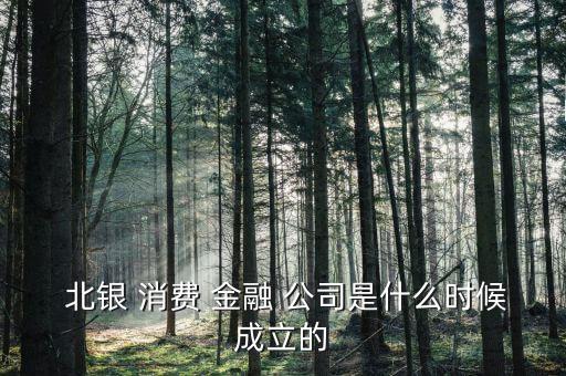  北銀 消費(fèi) 金融 公司是什么時候成立的