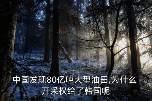 中國發(fā)現(xiàn)80億噸大型油田,為什么 開采權(quán)給了韓國呢