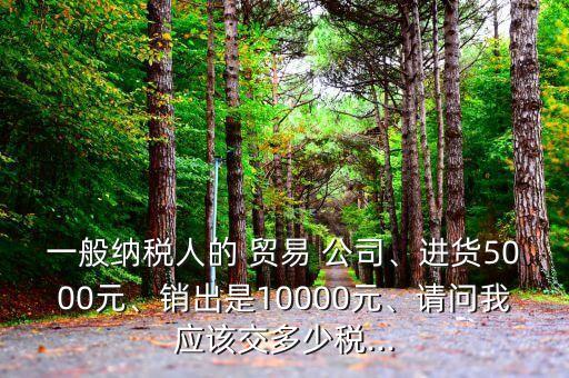 一般納稅人的 貿(mào)易 公司、進貨5000元、銷出是10000元、請問我應(yīng)該交多少稅...