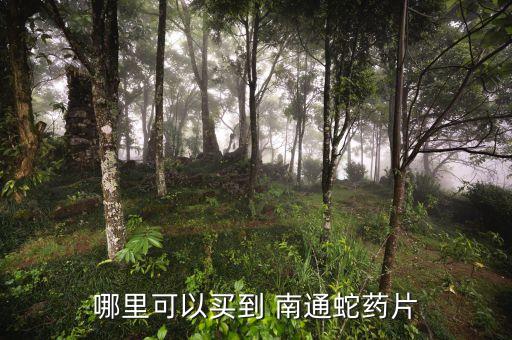 哪里可以買(mǎi)到 南通蛇藥片