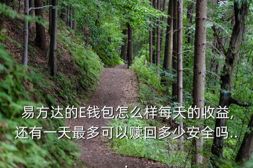  易方達(dá)的E錢(qián)包怎么樣每天的收益,還有一天最多可以贖回多少安全嗎...