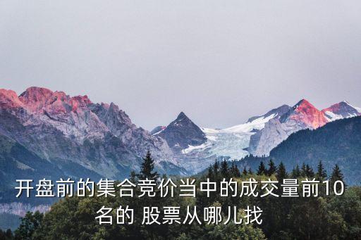 開盤前的集合競價(jià)當(dāng)中的成交量前10名的 股票從哪兒找