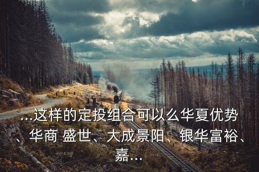 ...這樣的定投組合可以么華夏優(yōu)勢(shì)、華商 盛世、大成景陽(yáng)、銀華富裕、嘉...