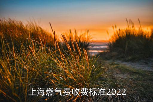  上海燃?xì)赓M收費標(biāo)準(zhǔn)2022