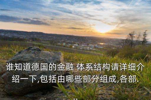 誰知道德國的金融 體系結(jié)構(gòu)請(qǐng)?jiān)敿?xì)介紹一下,包括由哪些部分組成,各部...