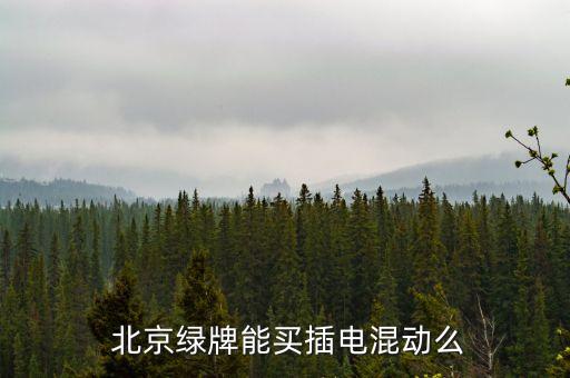  北京綠牌能買插電混動么
