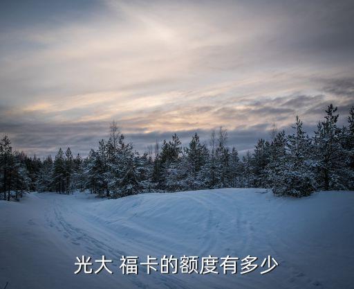 光大 ?？ǖ念~度有多少
