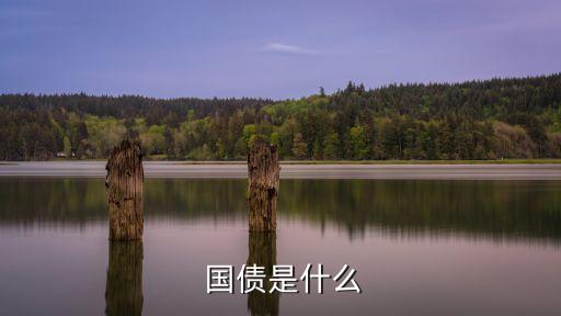  國(guó)債是什么