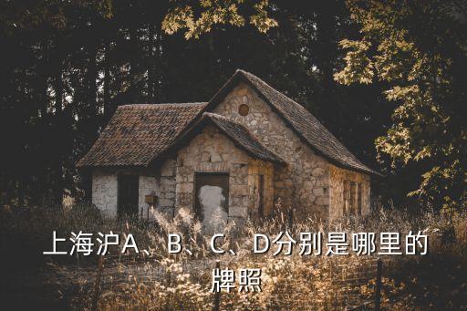  上海滬A、B、C、D分別是哪里的 牌照