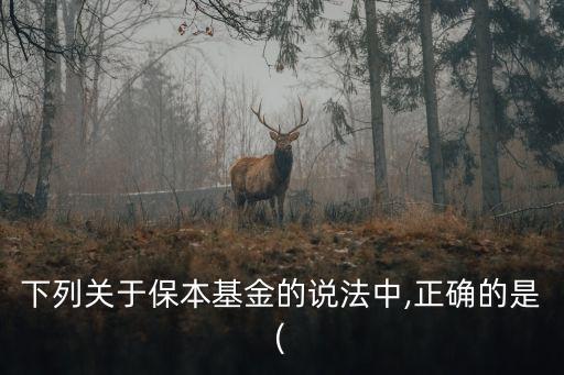 下列關于保本基金的說法中,正確的是(