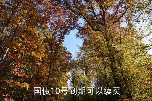 華夏銀行買電子國(guó)債,新手怎樣買電子國(guó)債
