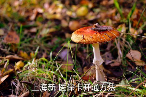  上海新 醫(yī)?？ㄩ_通方法