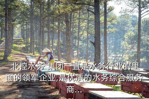  北控水務 集團一直是水務行業(yè)的里面的領軍企業(yè),是優(yōu)質(zhì)的水務綜合服務商...
