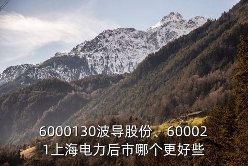 6000130波導(dǎo)股份、600021上海電力后市哪個(gè)更好些