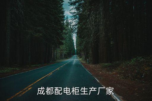 四川東方電力設備聯合公司