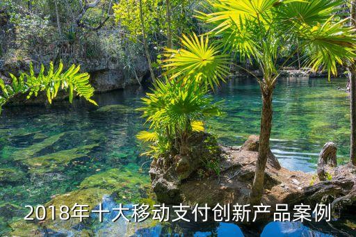 2018年十大移動支付創(chuàng)新產品案例