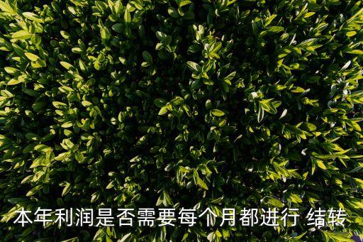 本年利潤是否需要每個月都進行 結(jié)轉(zhuǎn)
