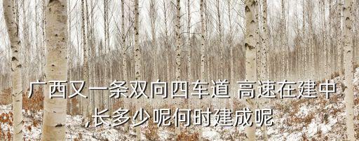  廣西又一條雙向四車道 高速在建中,長多少呢何時建成呢