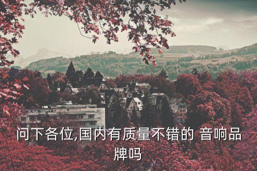 問下各位,國(guó)內(nèi)有質(zhì)量不錯(cuò)的 音響品牌嗎
