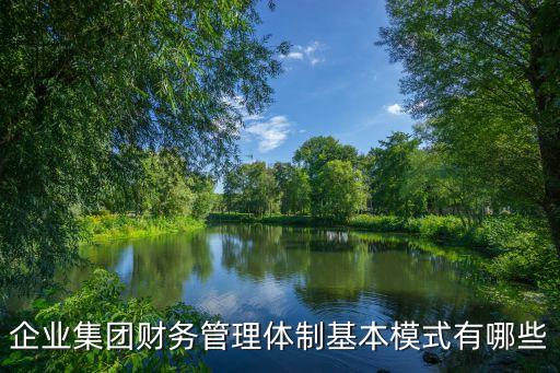 企業(yè)集團(tuán)財務(wù)管理體制基本模式有哪些