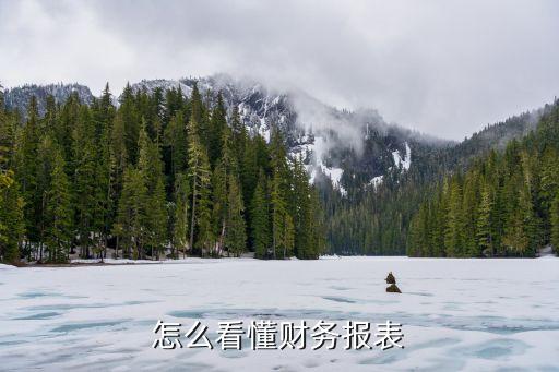 怎么看懂財務(wù)報表