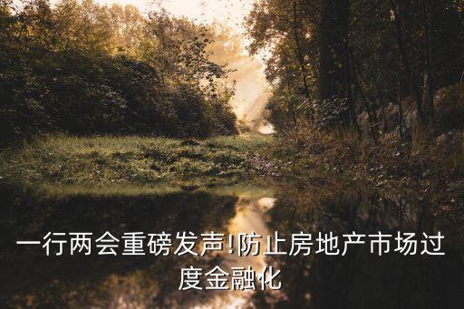 一行兩會(huì)重磅發(fā)聲!防止房地產(chǎn)市場(chǎng)過度金融化