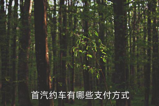 首汽集團(tuán)是國企嗎,北京首汽集團(tuán)股份有限公司是國企嗎