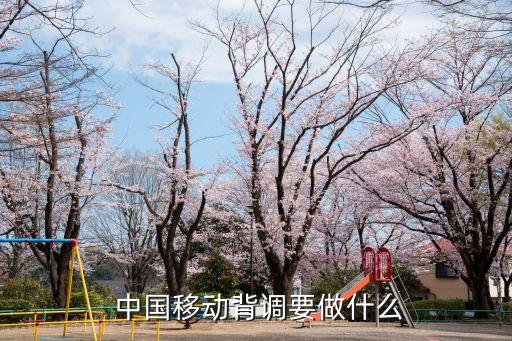 中國移動招聘互聯(lián)網金融總監(jiān)