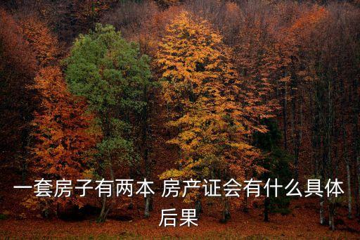 一套房子有兩本 房產證會有什么具體后果