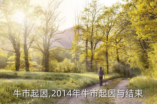 中國牛市起因,2014年牛市起因與結束