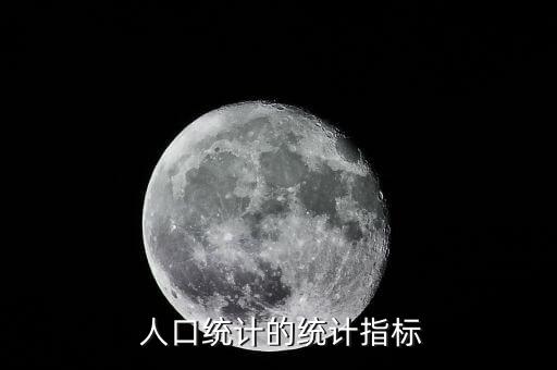  人口統(tǒng)計的統(tǒng)計指標(biāo)