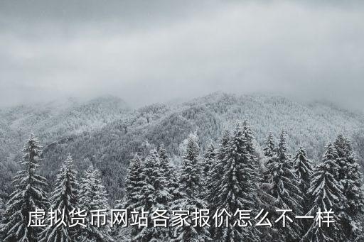 虛擬貨幣網(wǎng)站各家報(bào)價怎么不一樣