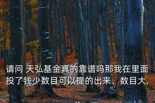 請(qǐng)問(wèn) 天弘基金真的靠譜嗎那我在里面投了錢(qián)少數(shù)目可以提的出來(lái)、數(shù)目大...
