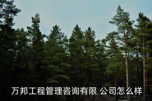 萬(wàn)邦工程管理咨詢有限 公司怎么樣