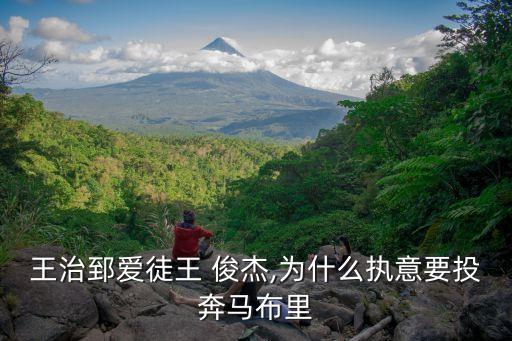 上海民生王俊杰,上?；磩F王俊杰簡介