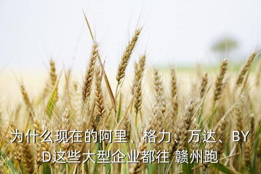 為什么現(xiàn)在的阿里、格力、萬(wàn)達(dá)、BYD這些大型企業(yè)都往 贛州跑