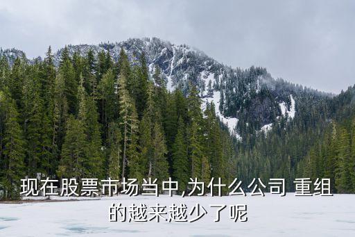 成商集團(tuán)重組,中利集團(tuán)重組最新消息
