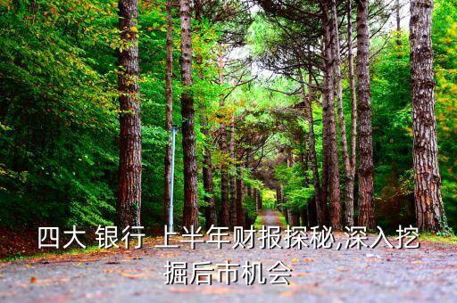 四大 銀行 上半年財(cái)報(bào)探秘,深入挖掘后市機(jī)會