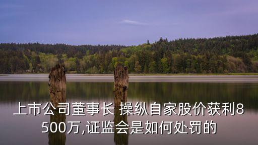 上市公司董事長 操縱自家股價(jià)獲利8500萬,證監(jiān)會(huì)是如何處罰的