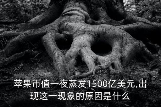 蘋(píng)果市值一夜蒸發(fā)1500億美元,出現(xiàn)這一現(xiàn)象的原因是什么