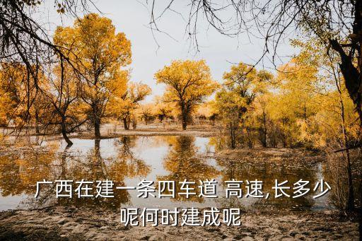 廣西去年高速投資多少,廣西高速一共有多少個(gè)服務(wù)區(qū)