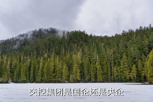 交控集團(tuán)是國(guó)企還是央企